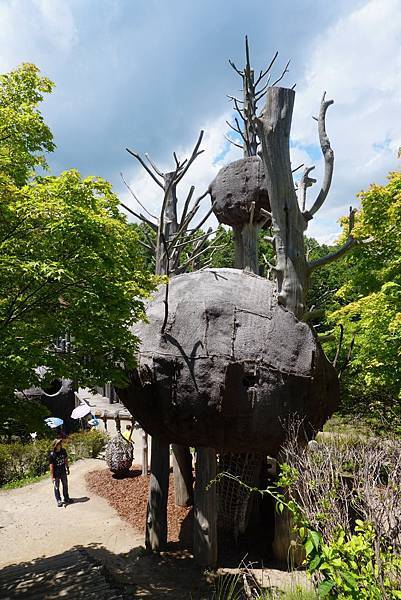 DSC02081.jpg DSC02081.jpg