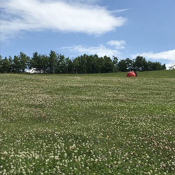 IMG_4025.jpg IMG_4025.jpg