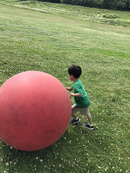 IMG_4024.jpg IMG_4024.jpg