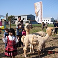 2014大雅驫麥季