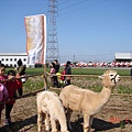 2014大雅驫麥季