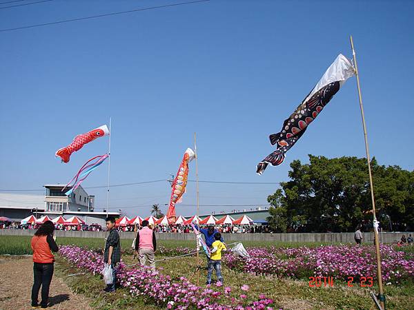 2014大雅驫麥季