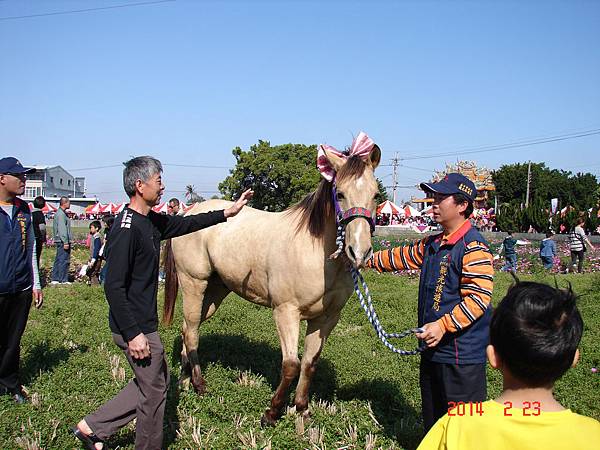 2014大雅驫麥季