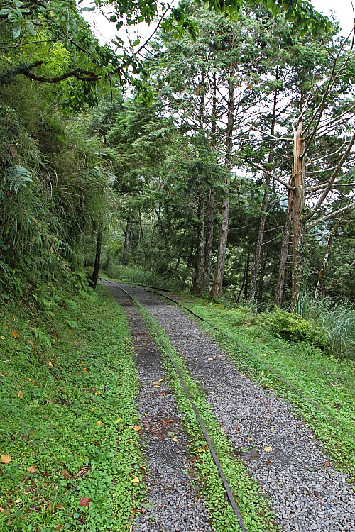 見晴懷古步道3