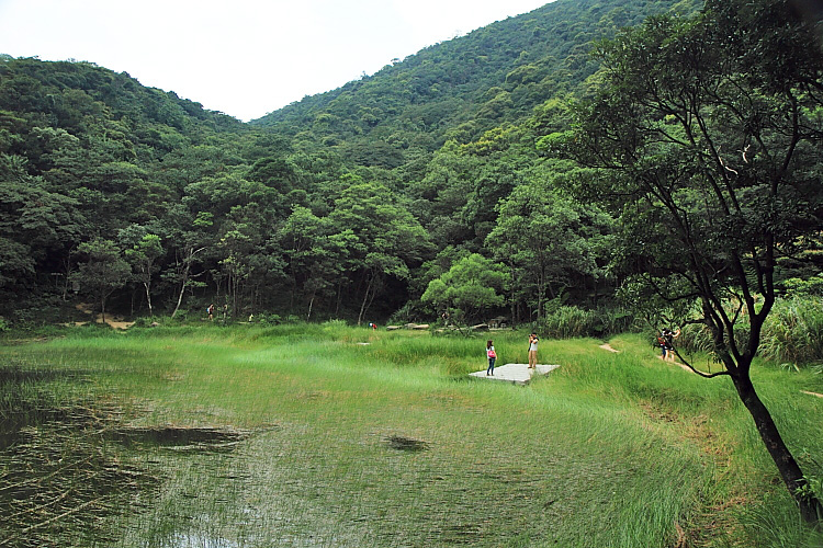 新山夢湖21