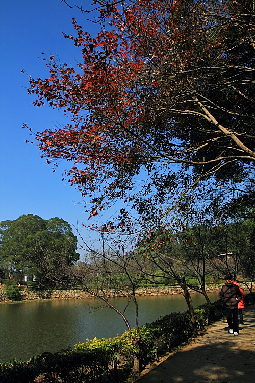 2015角板山公園13