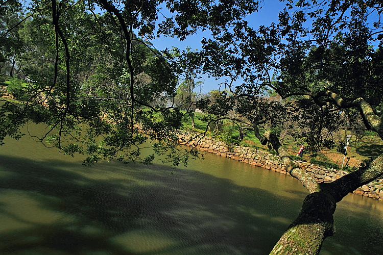 2015角板山公園14