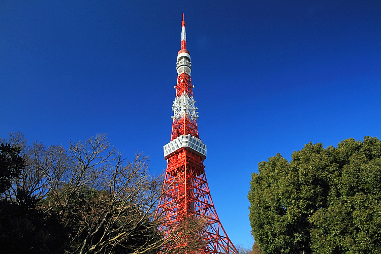 東京輕井澤3