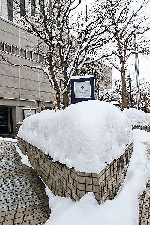 17冬之北海道 6 中島公園附近雪景 音樂老師的生活誌趣taiwan Best 痞客邦