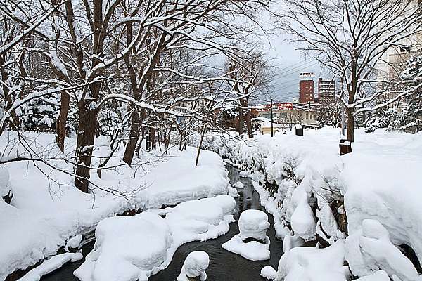 17冬之北海道 6 中島公園附近雪景 音樂老師的生活誌趣taiwan Best 痞客邦