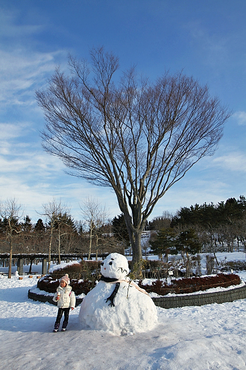 2017冬之北海道225