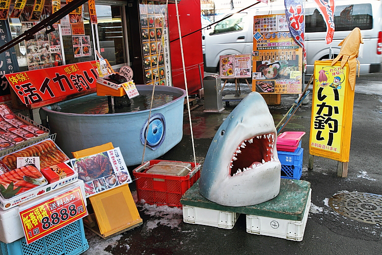 2017冬之北海道244