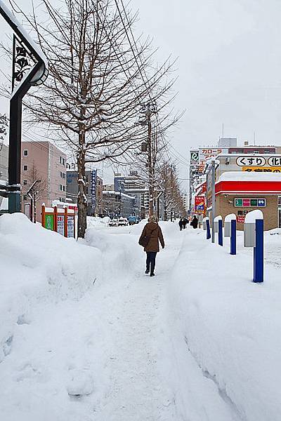 2017冬之北海道444