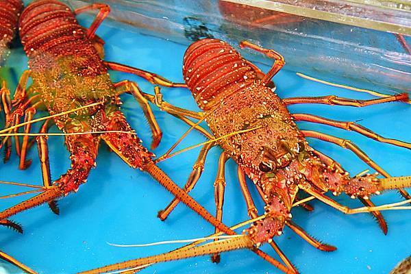 2018沖繩自由行27