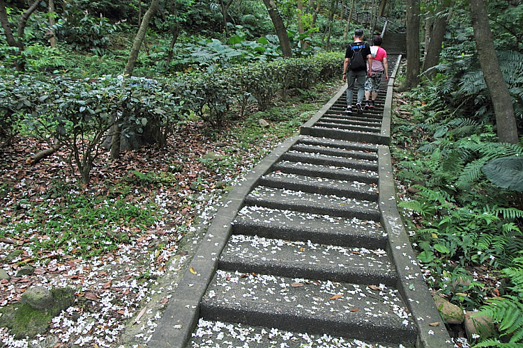 虎頭山公園4