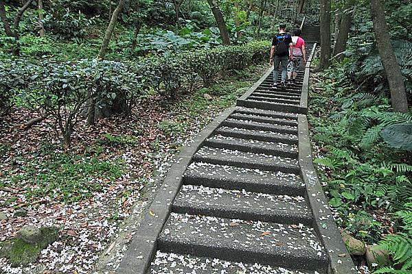 虎頭山公園4