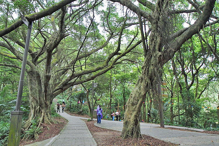 虎頭山公園7