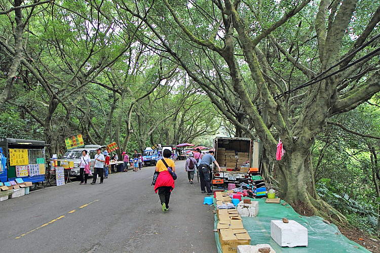 虎頭山公園8