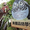 虎頭山公園12