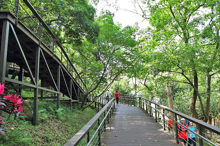 虎頭山公園13