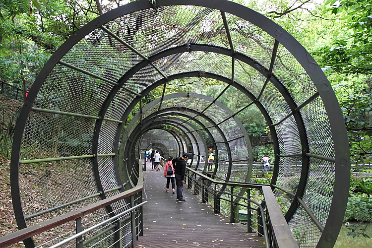 虎頭山公園15