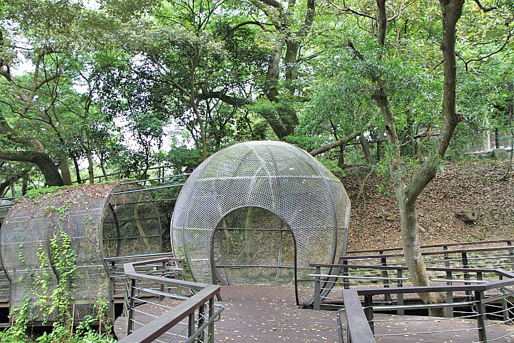 虎頭山公園16