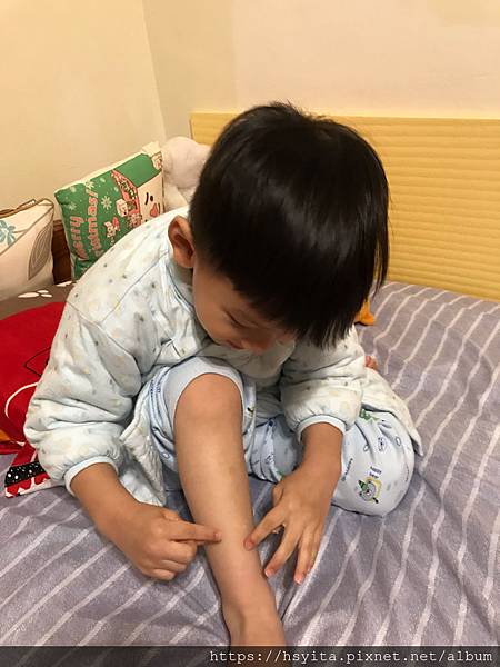 試用
