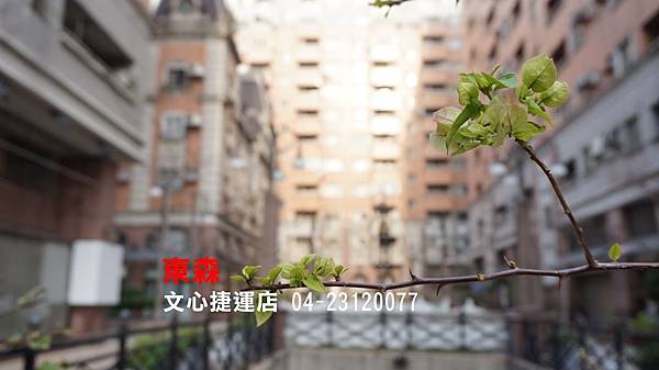 DSC01650 DSC01650