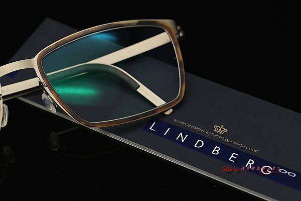 LINDBERG Strip titanium 9700 丹麥 林德柏格 高雄得恩堂左營店