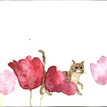 貓與花