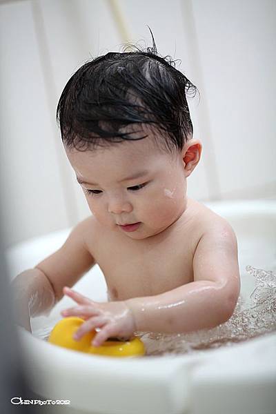 IMG_1533 IMG_1533