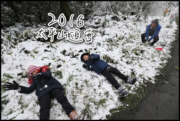 2016太平山追雪.jpg