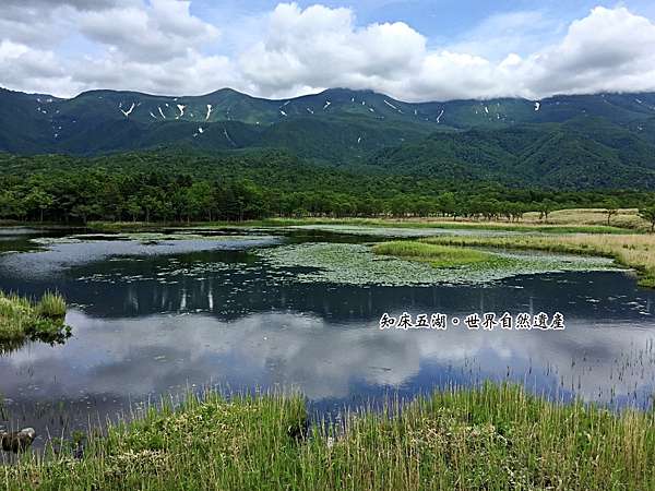 北海道 ｄ4 3 知床半島 知床五湖 神之水溫泉瀑布 鱷魚妹與阿君仔之生活點滴 痞客邦