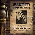 WANTED.jpg