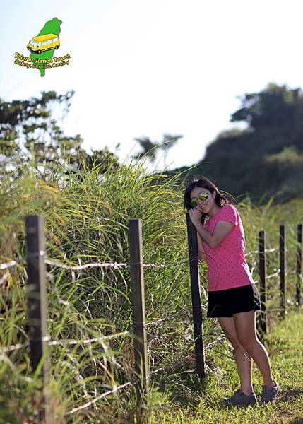 IMG_0491.JPG IMG_0491.JPG