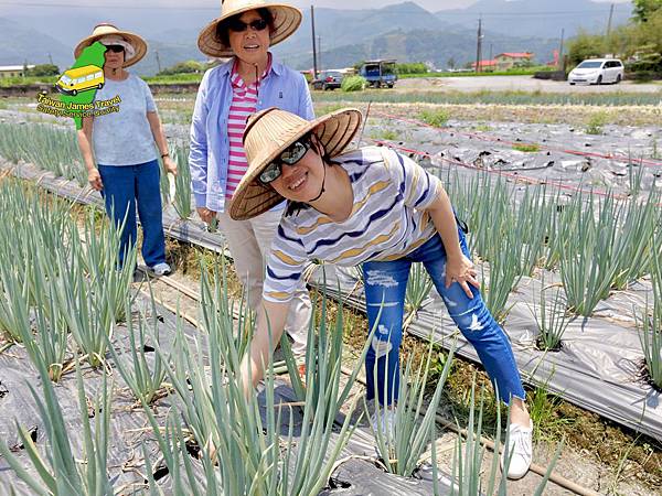 IMG_1298.JPG IMG_1298.JPG