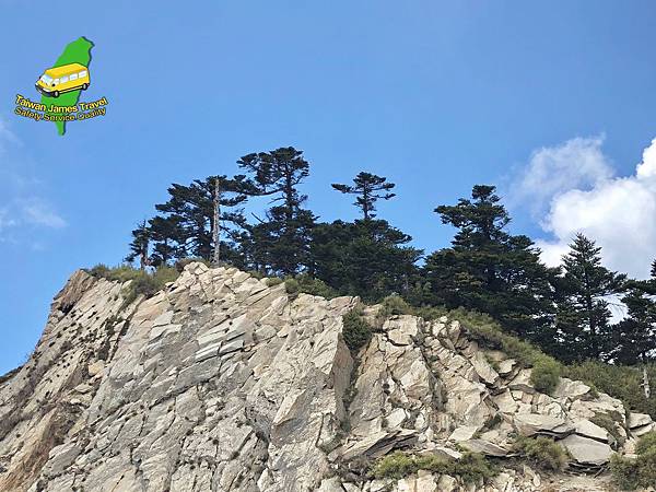 IMG_1309.JPG IMG_1309.JPG