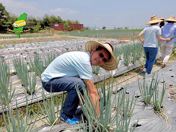 IMG_1297.JPG IMG_1297.JPG