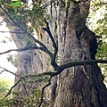 IMG_E8603.jpg