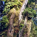 IMG_E8598.jpg