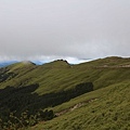 IMG_0193.jpg