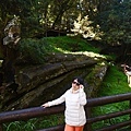 IMG_E0015.jpg