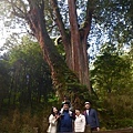 IMG_E0021.jpg