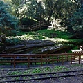 IMG_E0017.jpg