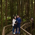 IMG_E0031.jpg