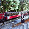 IMG_5040.jpg
