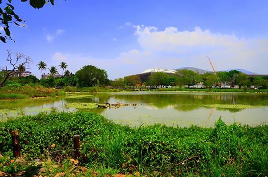 衛武營公園湖景水色.jpg