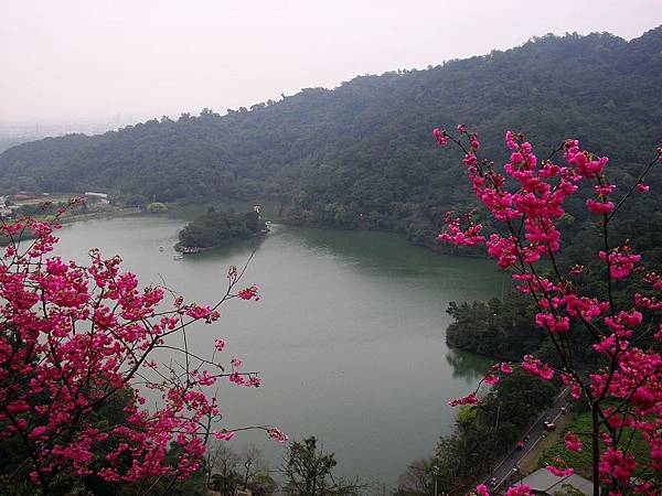 鳥瞰梅花湖