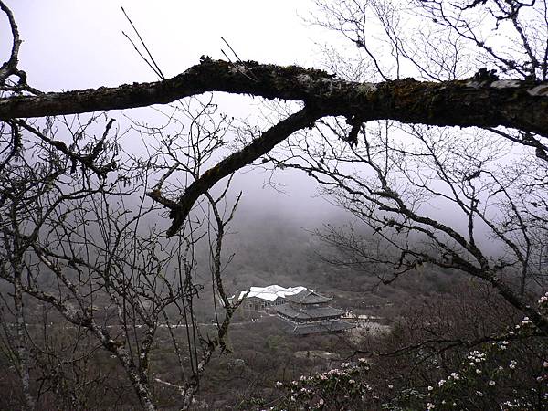 黃龍景區-黃龍寺 (四川2009年)33.jpg