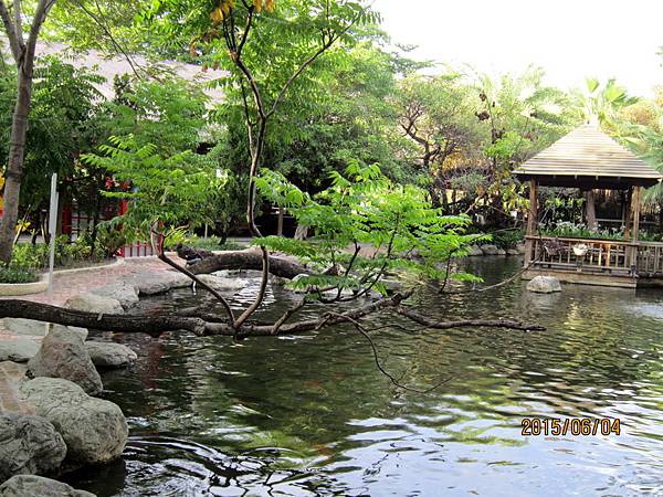 淨園-機場咖啡.休閒農場13.jpg